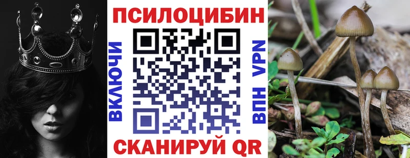 Псилоцибиновые грибы GOLDEN TEACHER  Ладушкин 