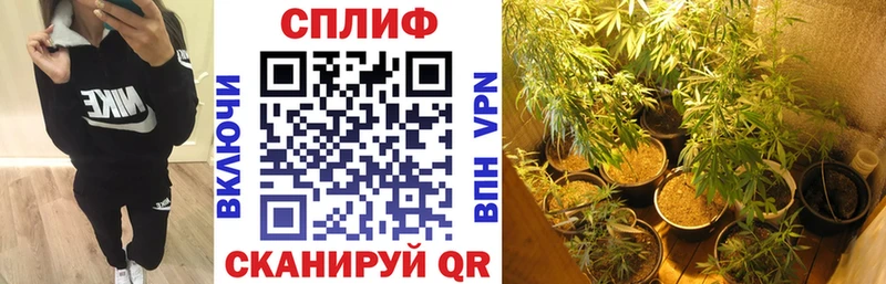 Каннабис White Widow  Ладушкин 